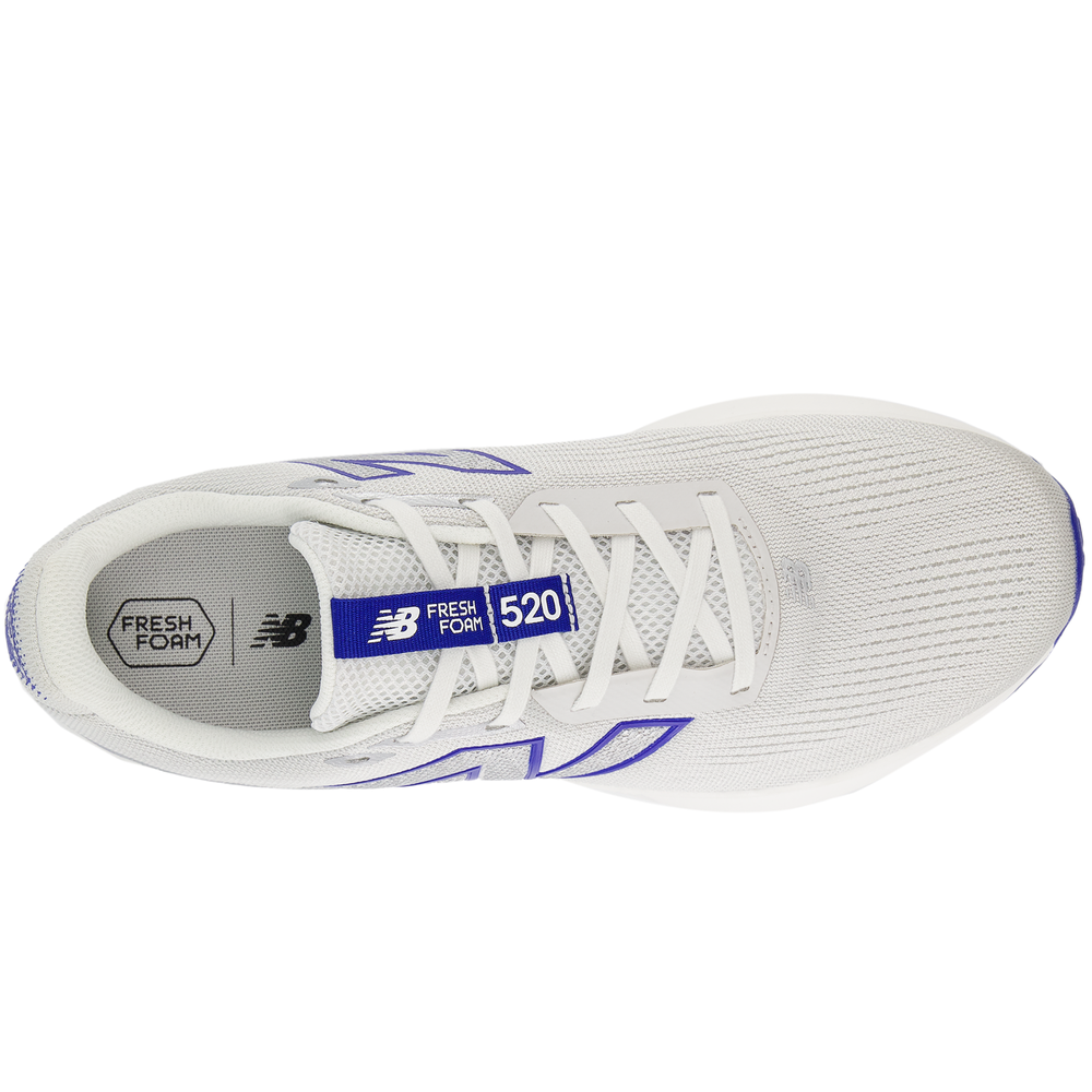 Buty męskie New Balance Fresh Foam x 520 v9 M520LG9 – szare