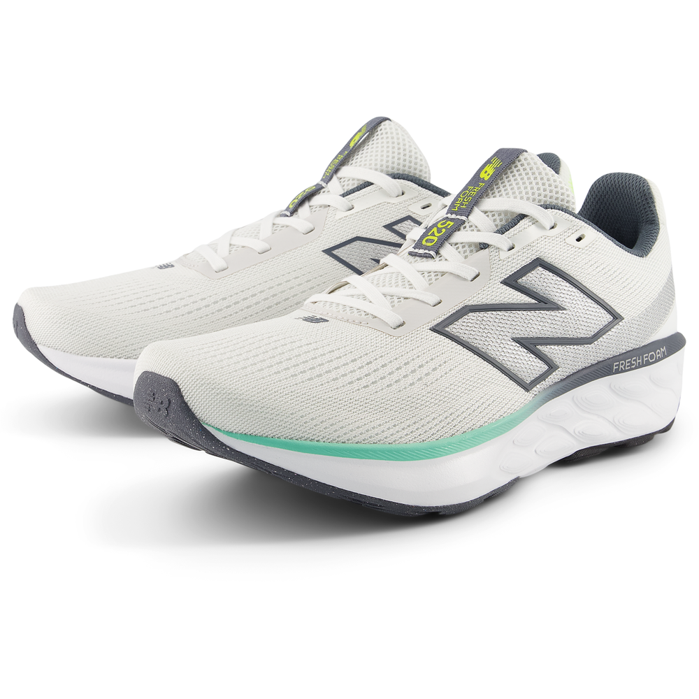 Buty męskie New Balance Fresh Foam x 520 v9 M5206DX – białe