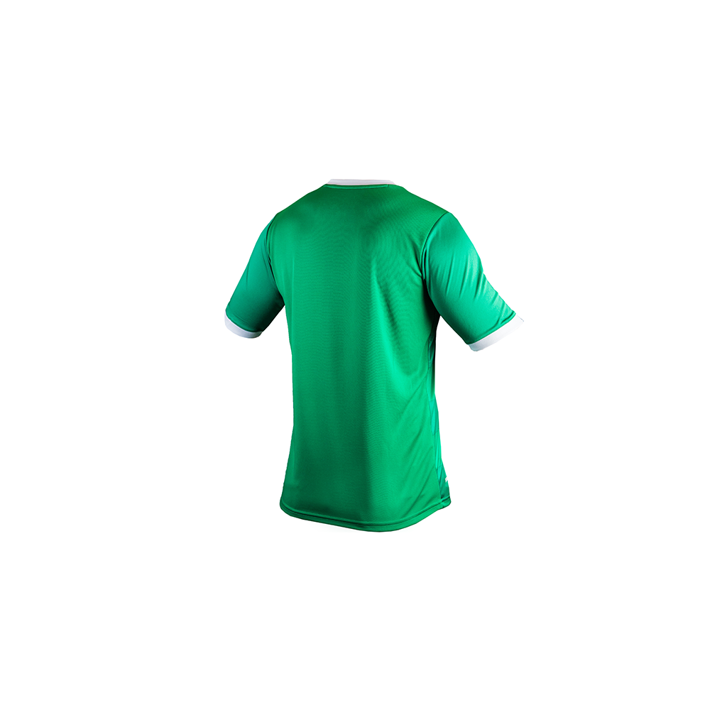 Koszulka Lechia Gdańsk - EMT7008JGG